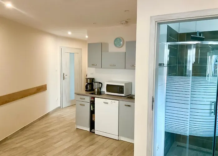 شقة U Lucyny I Lecha